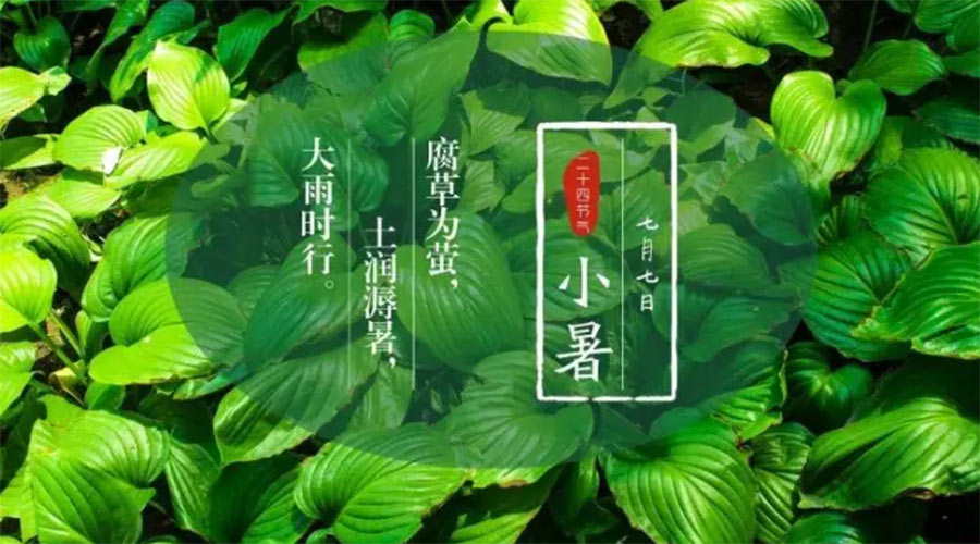 小暑時(shí)節(jié)來到！金環(huán)電器提醒大家要注意的事項(xiàng)